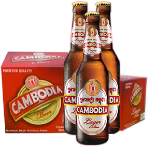Cambodia PINT