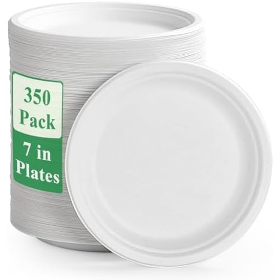 6''PAPER Plate
