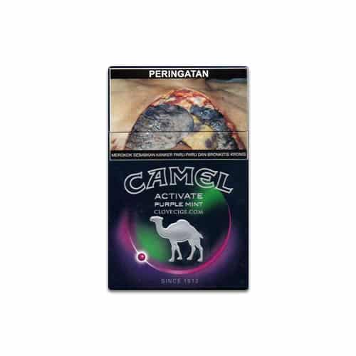 Cmel Purple Blt Long